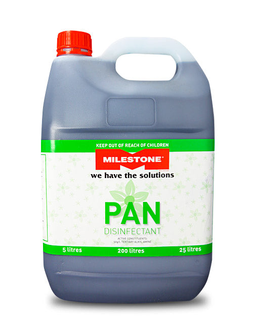 Pan